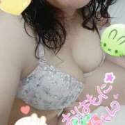 ヒメ日記 2025/03/09 12:55 投稿 ひより 即アポ奥さん～浜松店～