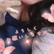 ヒメ日記 2025/05/20 15:14 投稿 ひより 即アポ奥さん～浜松店～