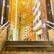 ヒメ日記 2025/12/14 15:00 投稿 あい eroina