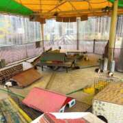 ヒメ日記 2026/02/06 20:00 投稿 あい eroina