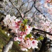 ヒメ日記 2026/04/02 15:00 投稿 あい eroina