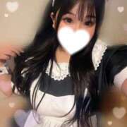 ヒメ日記 2025/02/26 22:50 投稿 るみ BiBi