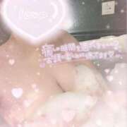 ヒメ日記 2025/02/27 15:40 投稿 るみ BiBi