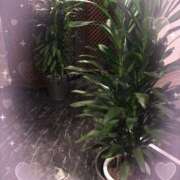 ヒメ日記 2025/03/12 22:33 投稿 中山　優香 30・40・50代☆人妻熟女コレクション