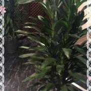 ヒメ日記 2025/04/02 17:46 投稿 中山　優香 30・40・50代☆人妻熟女コレクション