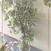 ヒメ日記 2025/06/06 18:17 投稿 中山　優香 30・40・50代☆人妻熟女コレクション