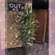 ヒメ日記 2025/06/10 06:42 投稿 中山　優香 30・40・50代☆人妻熟女コレクション