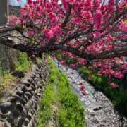 ヒメ日記 2025/04/21 23:13 投稿 弥生（やよい） エッチな熟女(熊谷)