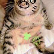 ヒメ日記 2025/09/14 16:08 投稿 まり 人妻の楽園（博多）