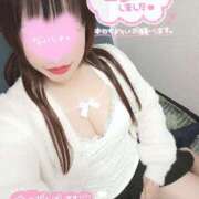 ヒメ日記 2025/11/04 11:23 投稿 星見 新宿人妻城