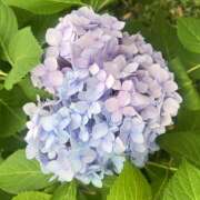 ヒメ日記 2025/06/20 10:23 投稿 望月ふうか 扉の向こう側