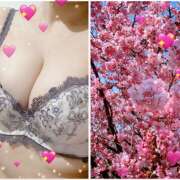 ヒメ日記 2025/04/06 08:45 投稿 ありさ マダムハンズ