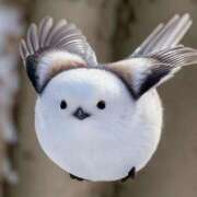 ヒメ日記 2025/06/01 02:46 投稿 きてぃー イクイクサークル鶯谷店