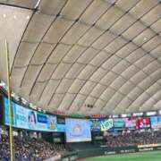 ヒメ日記 2025/06/30 04:16 投稿 きてぃー イクイクサークル鶯谷店