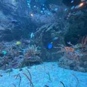 ヒメ日記 2025/08/22 03:46 投稿 きてぃー イクイクサークル鶯谷店