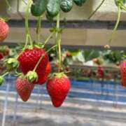 ヒメ日記 2025/04/18 21:45 投稿 アマネ ドMなバニーちゃん水戸店