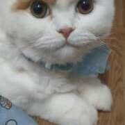 ヒメ日記 2025/05/25 10:35 投稿 ゆめ 熟女総本店