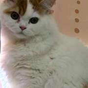 ヒメ日記 2025/08/10 17:13 投稿 ゆめ 熟女総本店