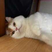 ヒメ日記 2025/11/11 03:35 投稿 ゆめ 熟女総本店