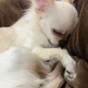 ヒメ日記 2025/05/20 15:27 投稿 りりか 熟女家 梅田店