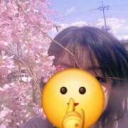 ヒメ日記 2025/04/04 10:40 投稿 ひろみ 山梨甲府甲斐ちゃんこ