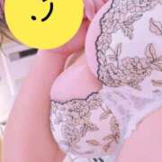 ヒメ日記 2025/04/05 11:22 投稿 ひろみ 山梨甲府甲斐ちゃんこ