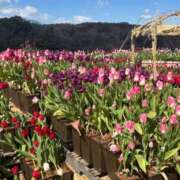 ヒメ日記 2025/03/16 23:15 投稿 みなみ 東京メンズボディクリニック TMBC 立川店