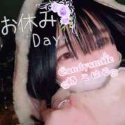 ヒメ日記 2025/04/15 12:00 投稿 椿　こはる Candy Smile