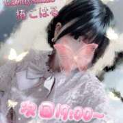 ヒメ日記 2025/06/27 15:00 投稿 椿　こはる Candy Smile