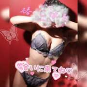 ヒメ日記 2025/10/12 14:30 投稿 椿　こはる Candy Smile