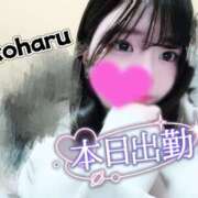 ヒメ日記 2026/02/06 14:30 投稿 椿　こはる Candy Smile