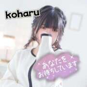 ヒメ日記 2026/02/07 14:30 投稿 椿　こはる Candy Smile