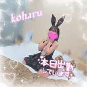 ヒメ日記 2026/03/05 14:25 投稿 椿　こはる Candy Smile