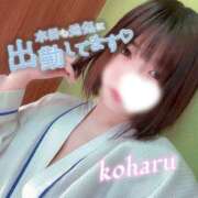 ヒメ日記 2026/03/06 14:00 投稿 椿　こはる Candy Smile