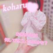 ヒメ日記 2026/03/07 16:52 投稿 椿　こはる Candy Smile