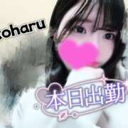 ヒメ日記 2026/04/03 12:40 投稿 椿　こはる Candy Smile