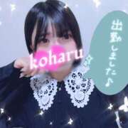 ヒメ日記 2026/04/14 14:17 投稿 椿　こはる Candy Smile