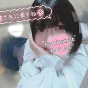 ヒメ日記 2026/04/19 14:52 投稿 椿　こはる Candy Smile