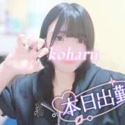 ヒメ日記 2026/05/13 14:30 投稿 椿　こはる Candy Smile