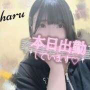 ヒメ日記 2026/06/26 14:47 投稿 椿　こはる Candy Smile