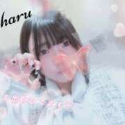 ヒメ日記 2026/07/20 14:29 投稿 椿　こはる Candy Smile