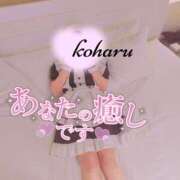 ヒメ日記 2026/08/09 21:16 投稿 椿　こはる Candy Smile