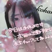ヒメ日記 2026/08/13 15:13 投稿 椿　こはる Candy Smile