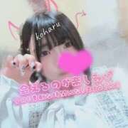 ヒメ日記 2026/08/15 14:30 投稿 椿　こはる Candy Smile