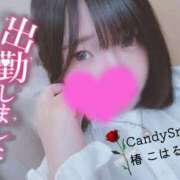 ヒメ日記 2026/09/10 14:30 投稿 椿　こはる Candy Smile