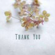 ヒメ日記 2025/02/28 19:02 投稿 ともか 熟女の風俗最終章 新宿店