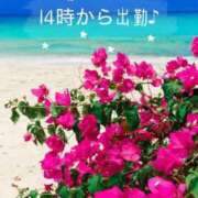 ヒメ日記 2025/08/16 10:40 投稿 ともか 熟女の風俗最終章 新宿店