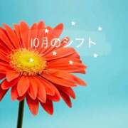 ヒメ日記 2025/10/03 11:33 投稿 ともか 熟女の風俗最終章 新宿店