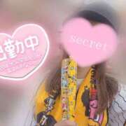 ヒメ日記 2025/03/23 15:29 投稿 ゆず 男爵