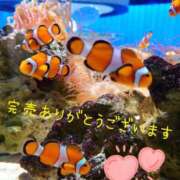 ヒメ日記 2025/03/03 11:07 投稿 みおり マダム可憐